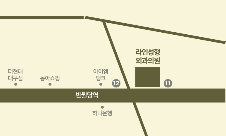라인성형외과의원 오시는길
